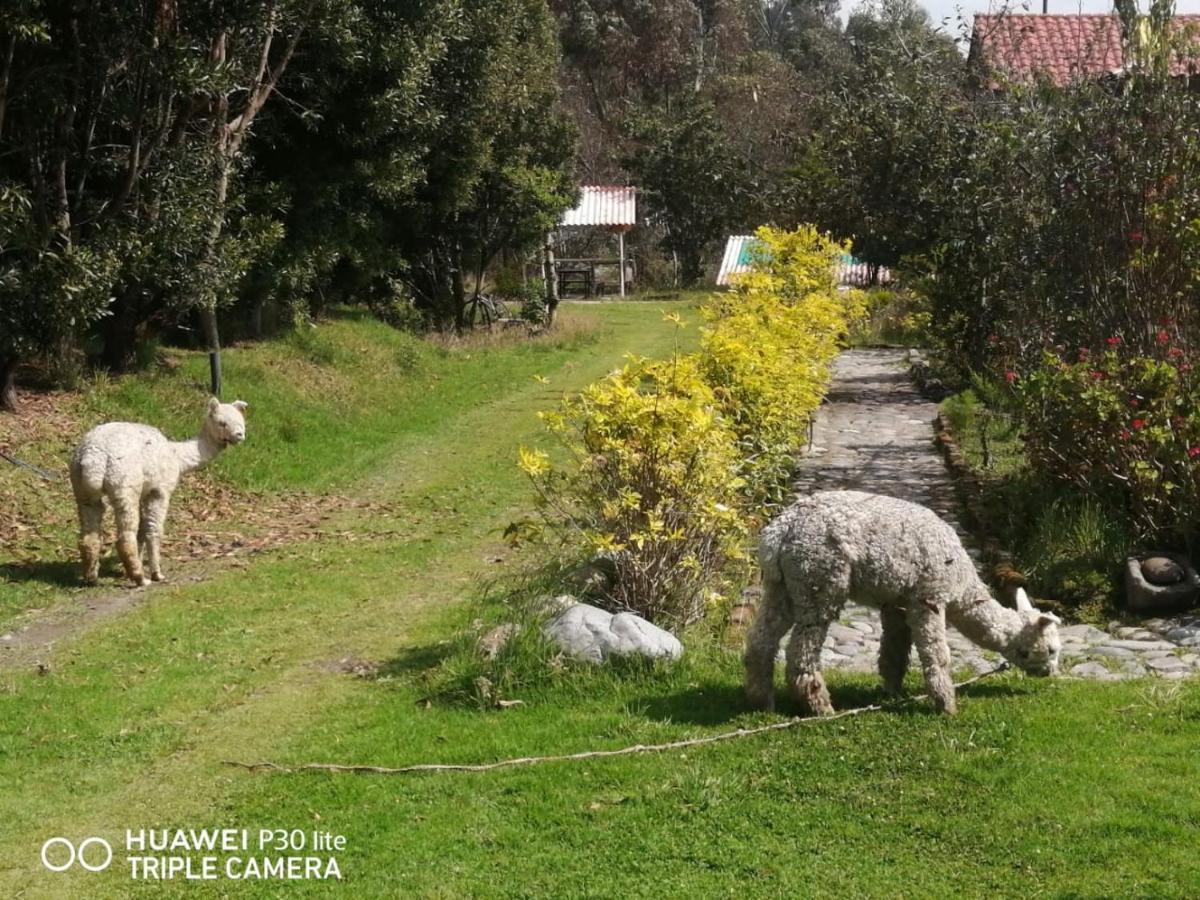 Hostal El Vaquero Chugchilan Bagian luar foto